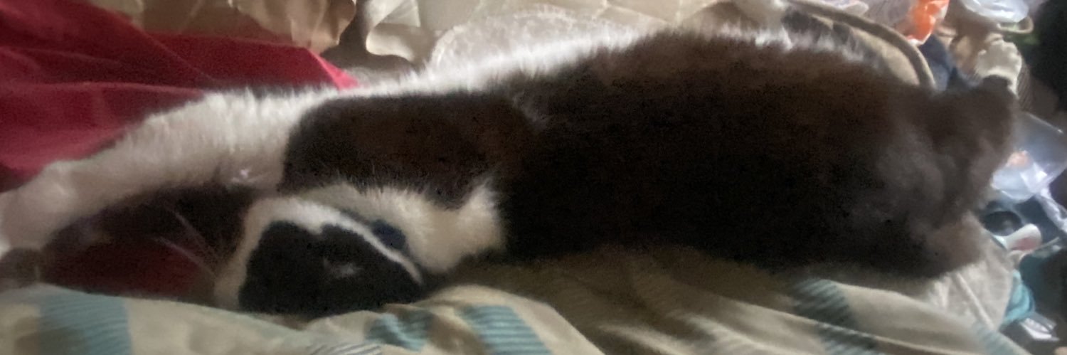 Sarahleigh Mackenzie Richardson banner