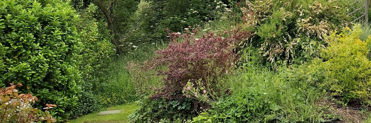 Hannah Taylor banner