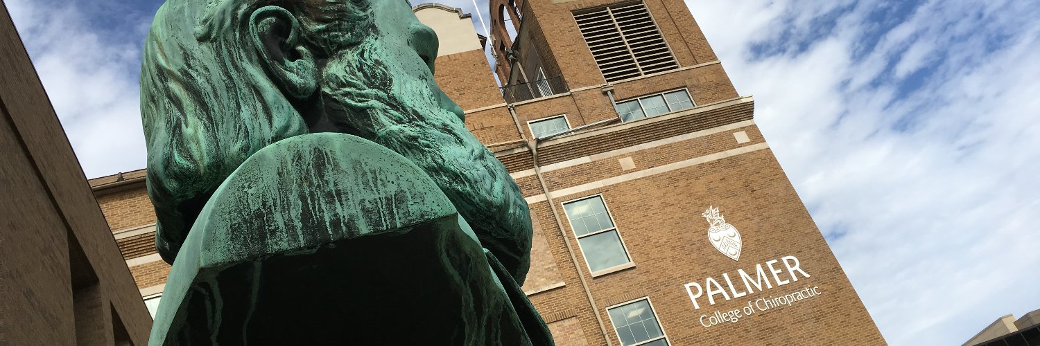 palmercollege's profile banner image
