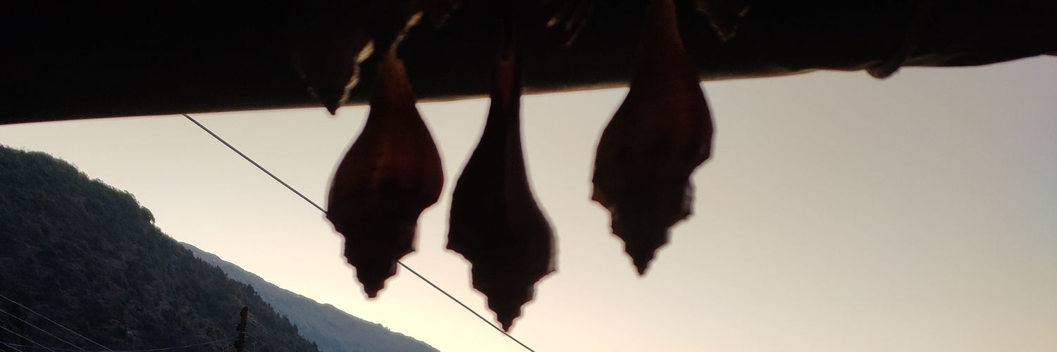 rudranarayan07's profile banner image