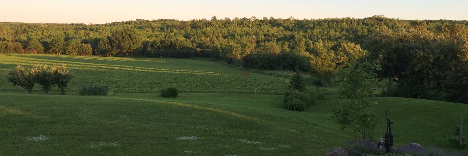 MerlynAquitaine's profile banner image