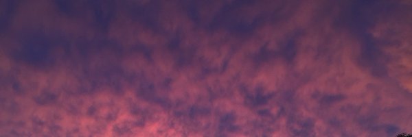 davidpanian Profile Banner