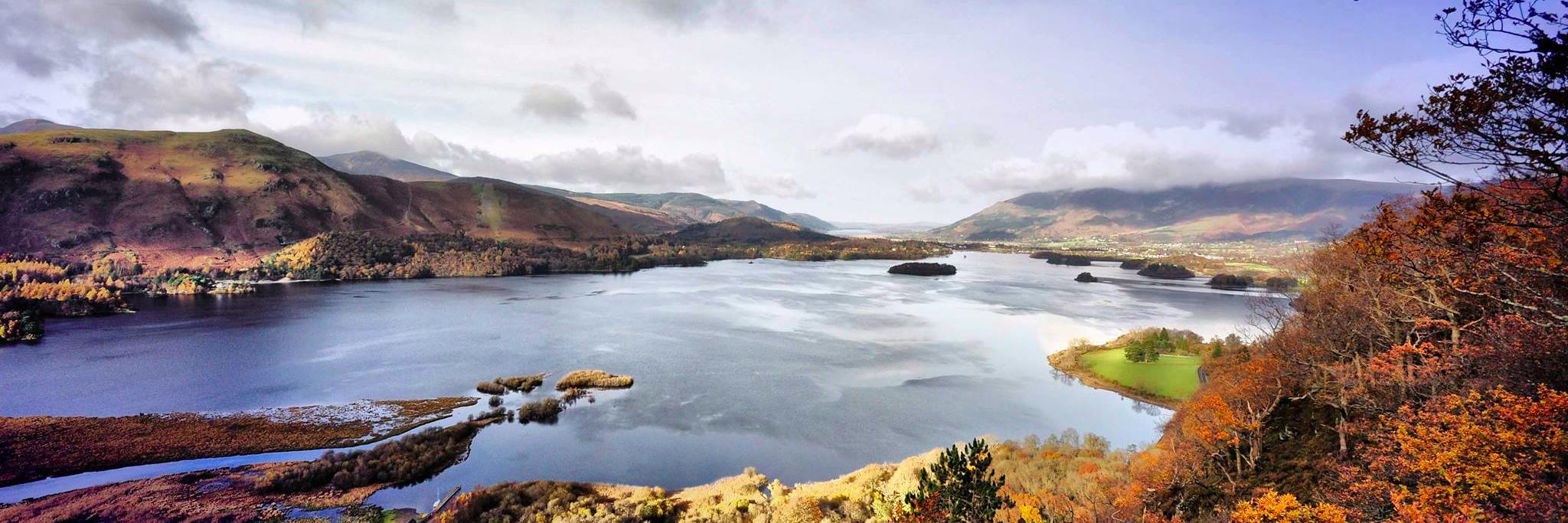 Lillingtons Estates banner