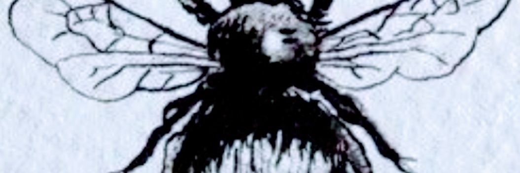 lgracewriter's profile banner image