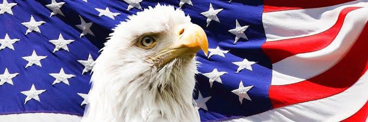 9thPatriot's profile banner image