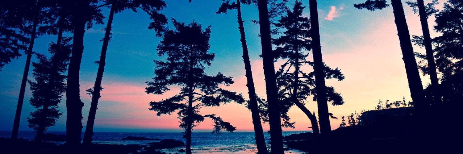 brooksbergreen's profile banner image