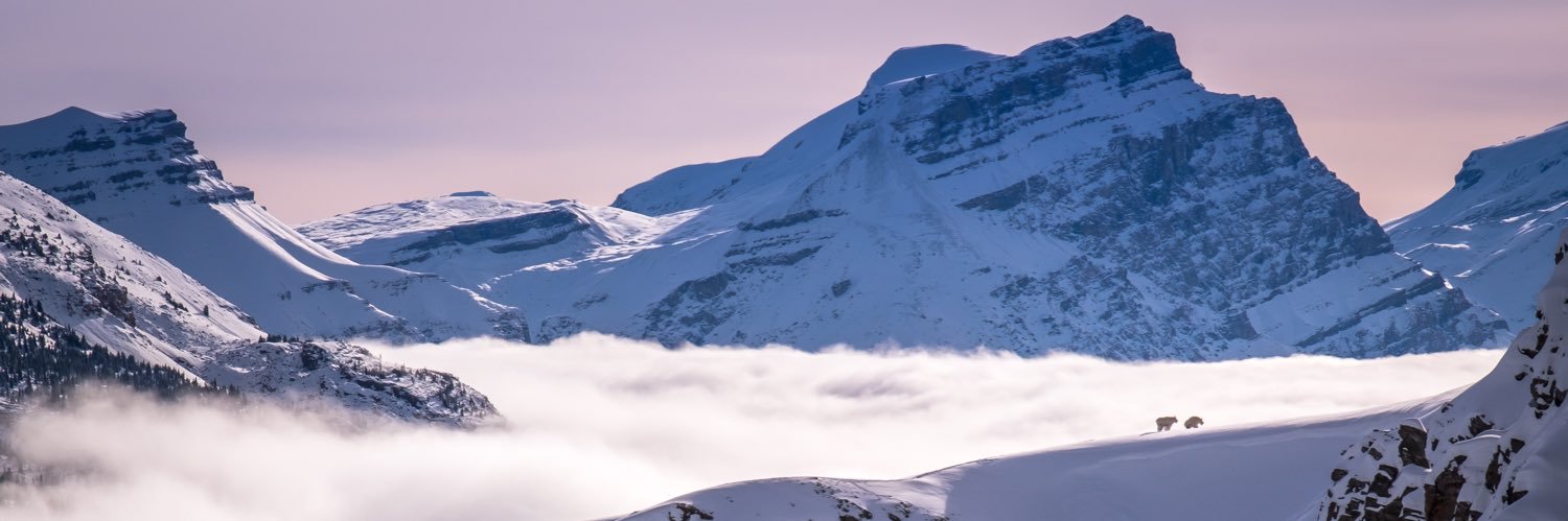 interpguides's profile banner image