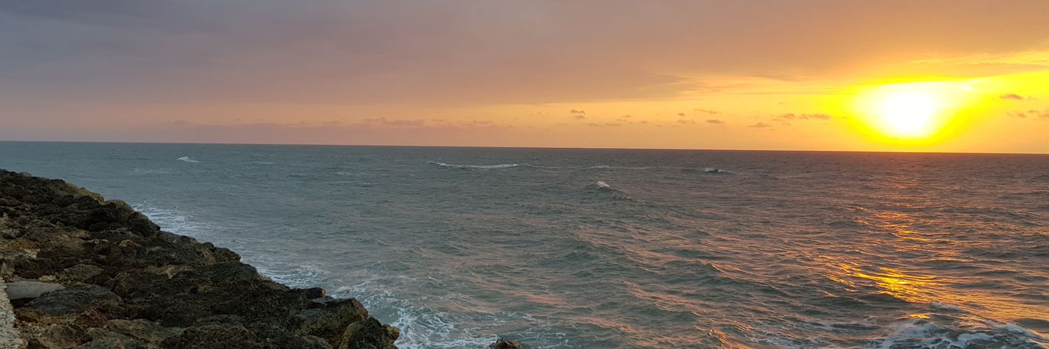 Gio Orantes banner
