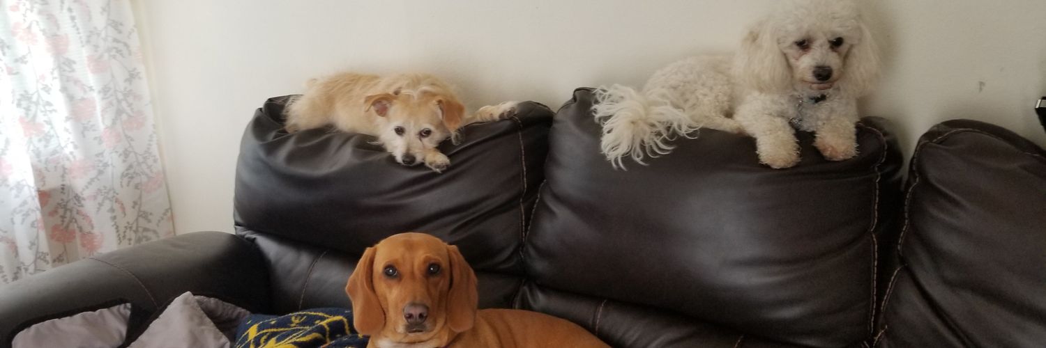 mini_dee_'s profile banner image