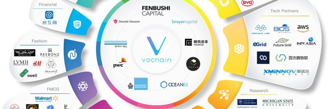 VeChain Community Hub banner