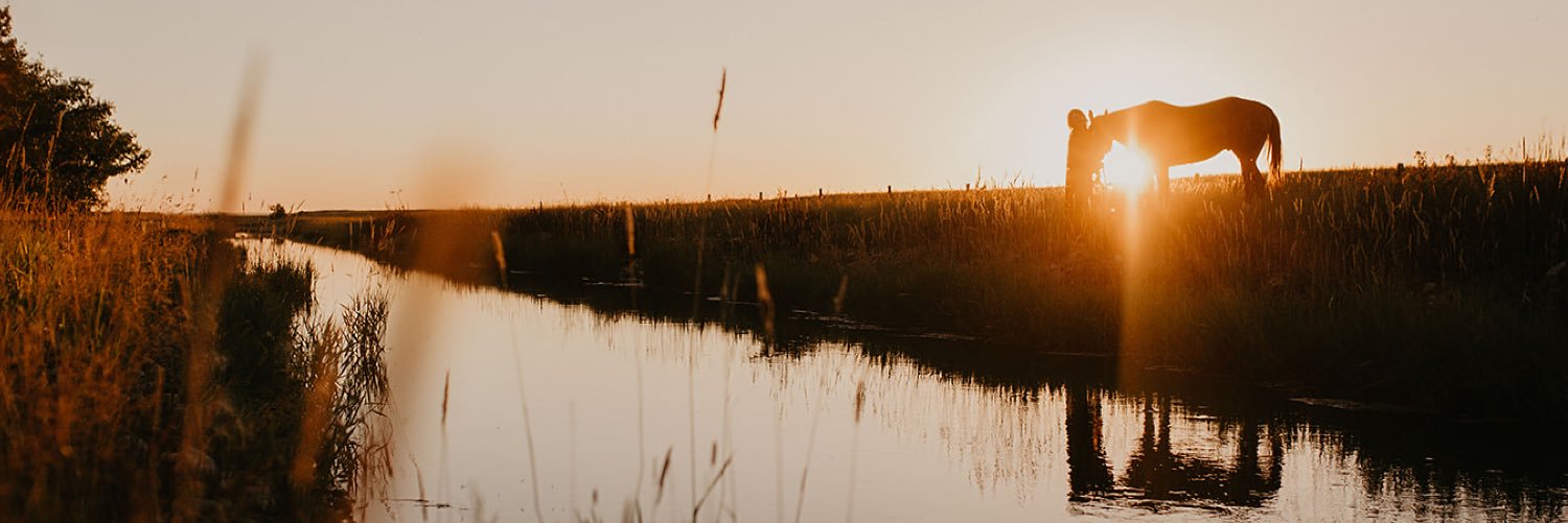 val_gillespie's profile banner image