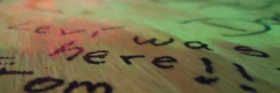 levidinoso's profile banner image