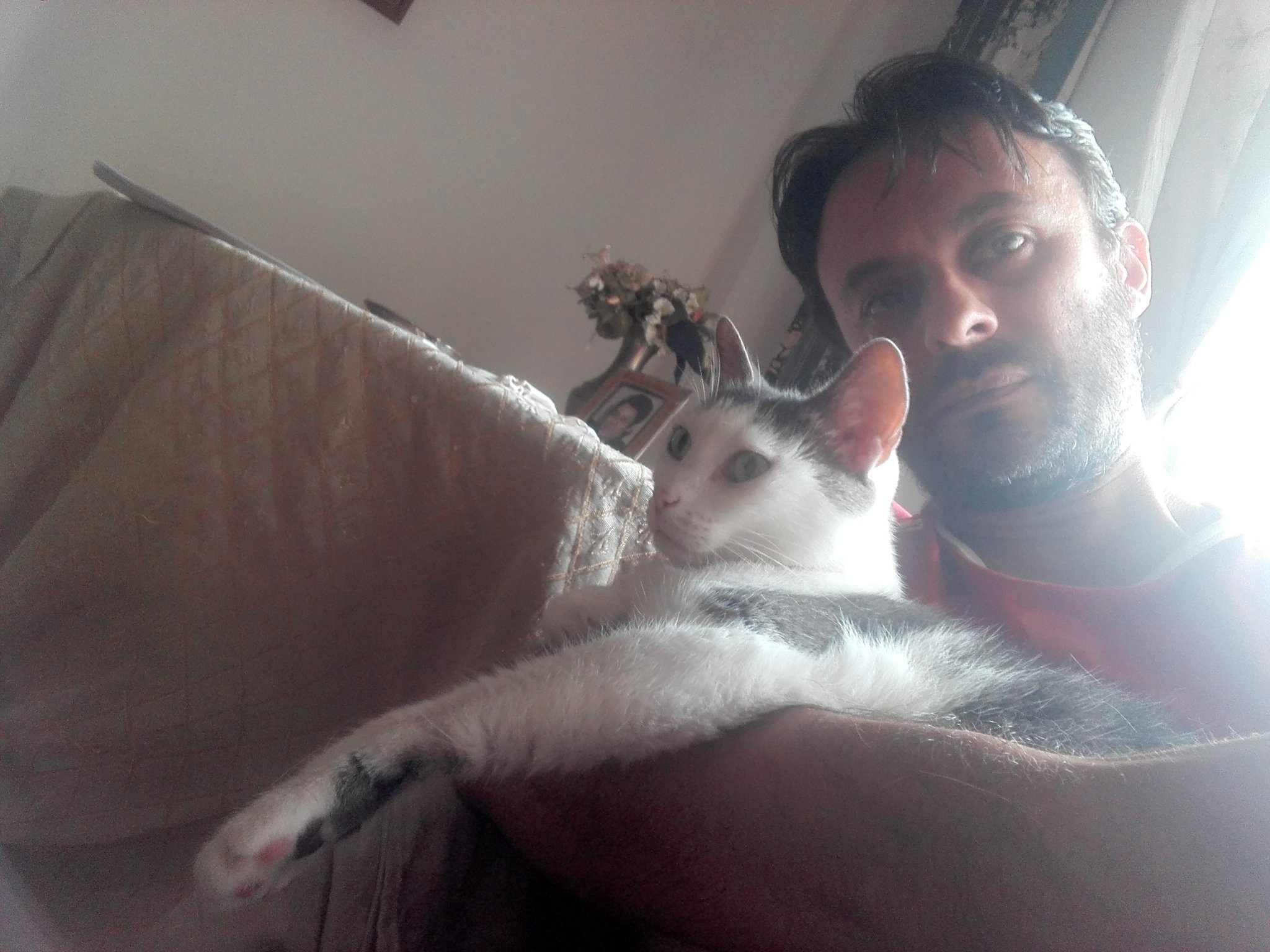 Penpusher_Cat's profile banner image