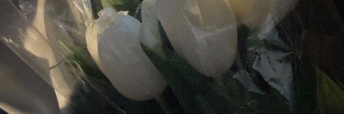 _dear_sin_x's profile banner image