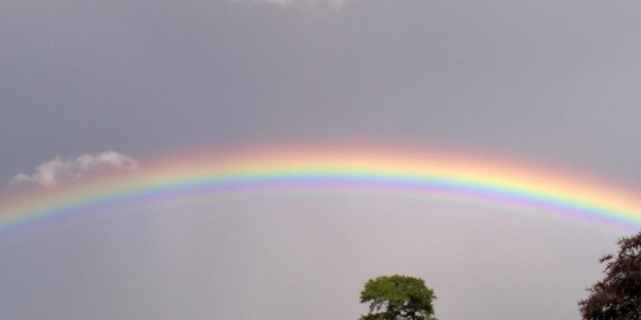 flea84's profile banner image