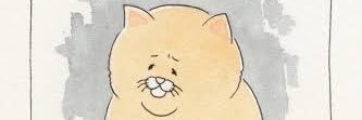 nullpochan's profile banner image