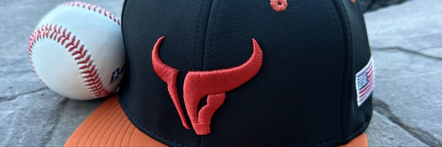 LJMaximo's profile banner image