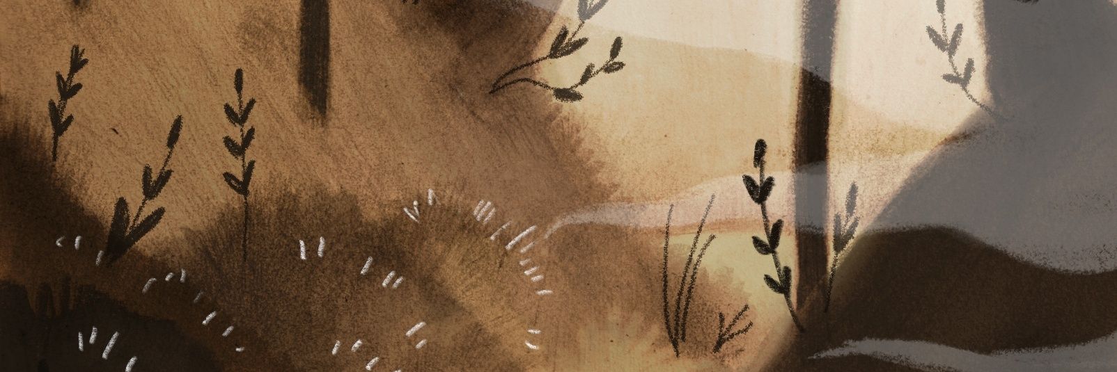 fial banner
