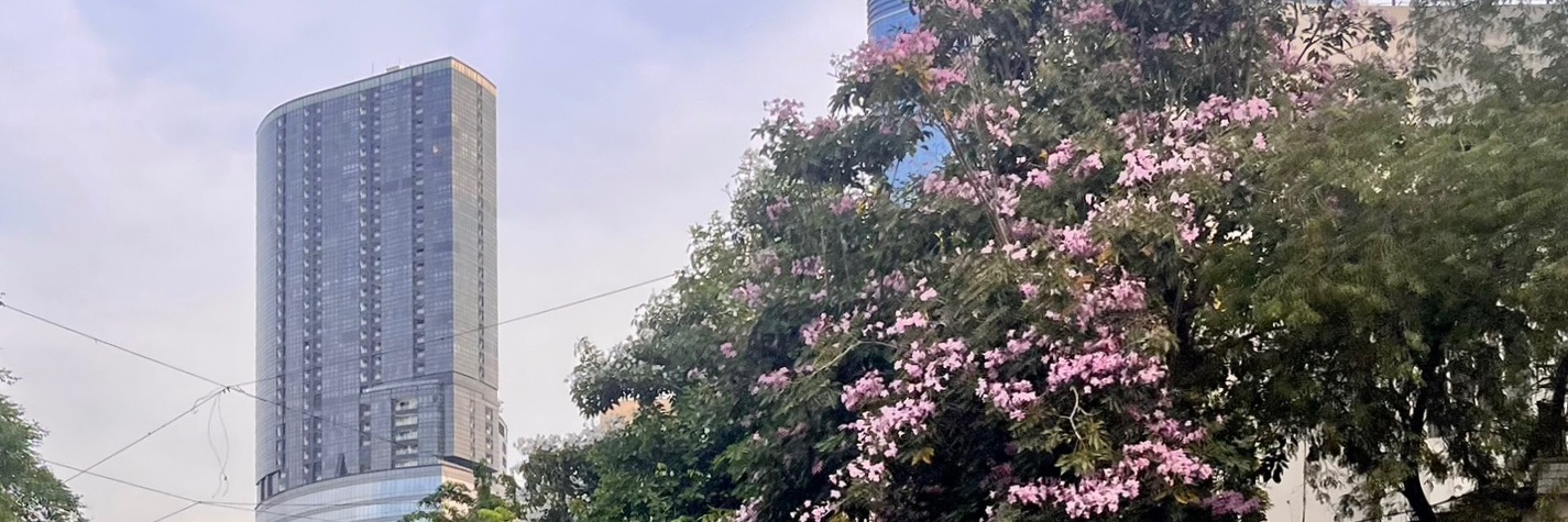 Vacío banner