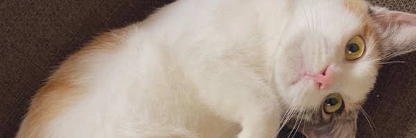 __ran__ Profile Banner