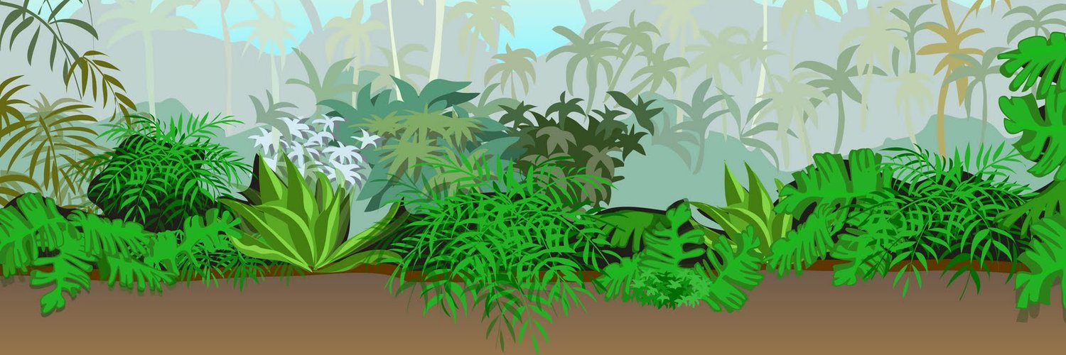 Reptile Shop Online (@ReptileEShop) | Twitter