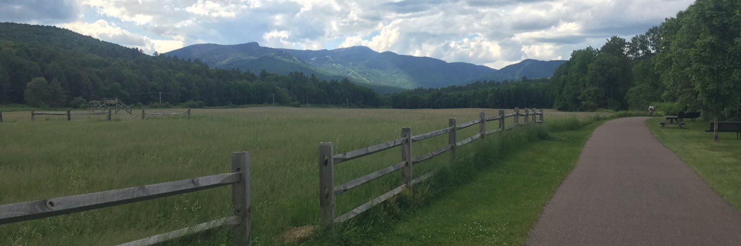 Lamoille Library banner