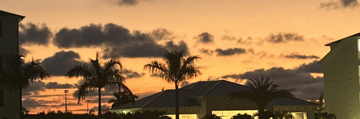 taraamallon's profile banner image