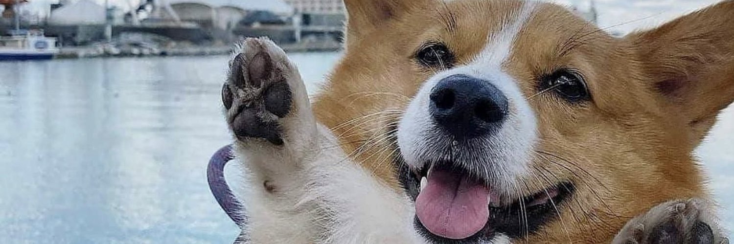 Faruhs's profile banner image