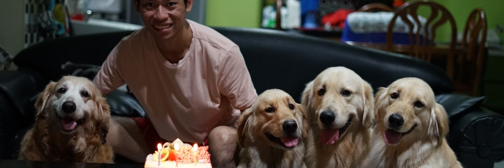 Felix_Tjendra's profile banner image