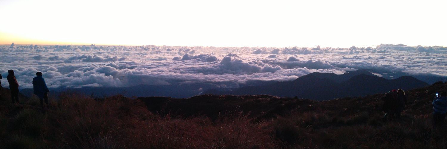 redalex15's profile banner image