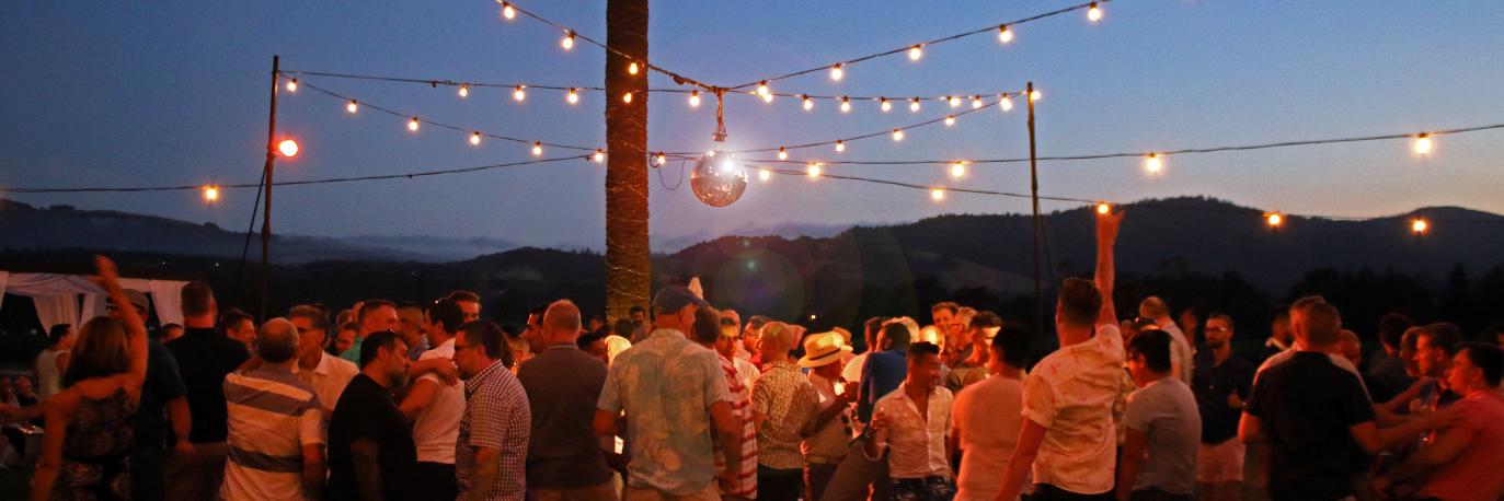 Out In The Vineyard banner