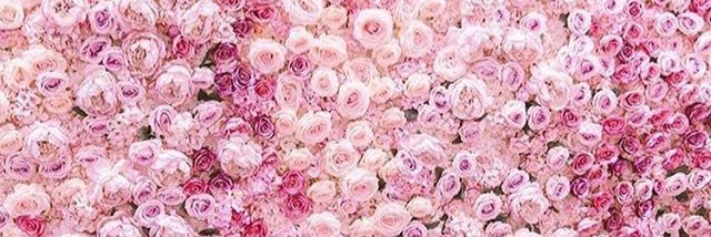 chloeknowless's profile banner image