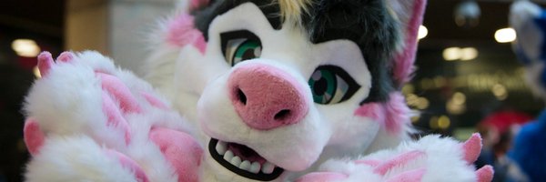 AlwaHusky Profile Banner
