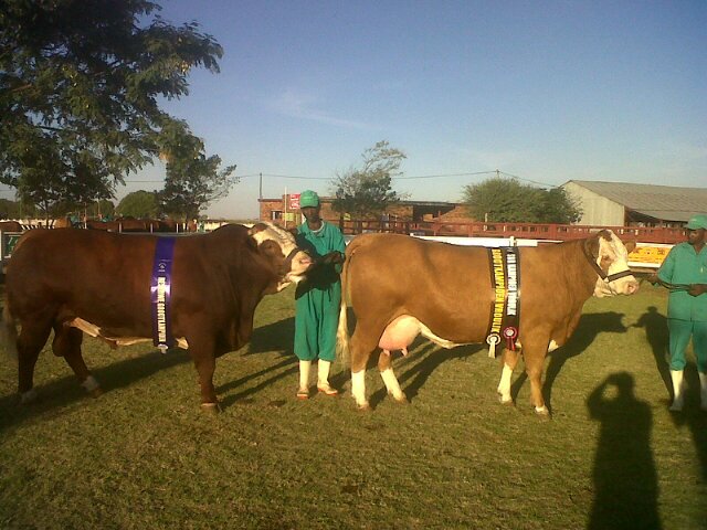 Nico Venter banner