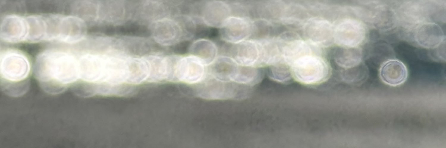 1CoachHawkins's profile banner image