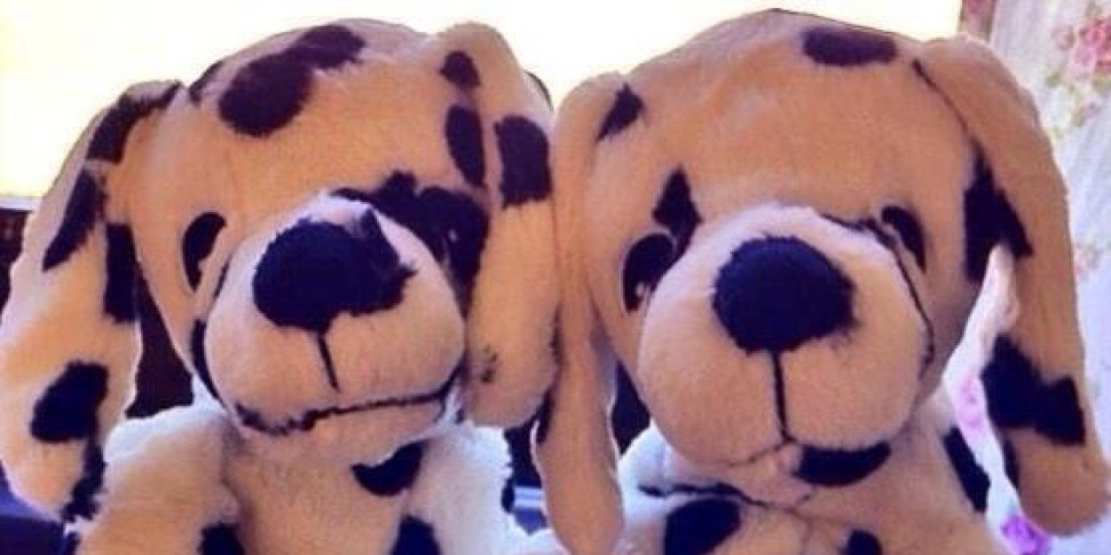 TwinDalmations's profile banner image