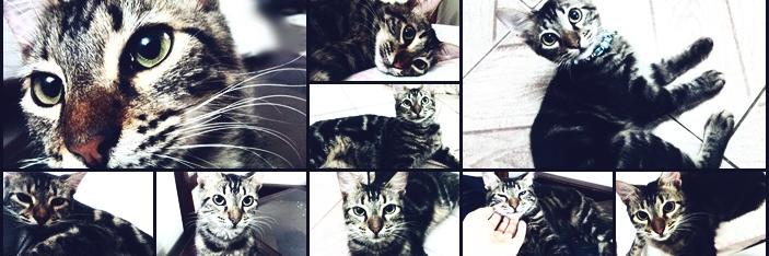 GabyMarchell's profile banner image