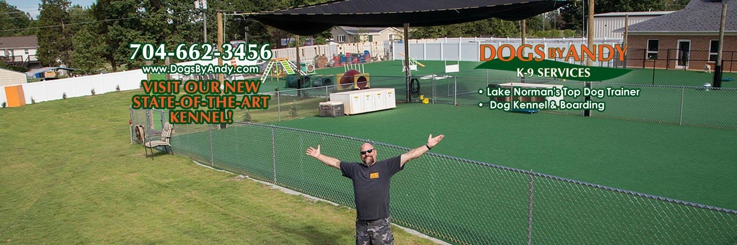 DogsbyAndy's profile banner image