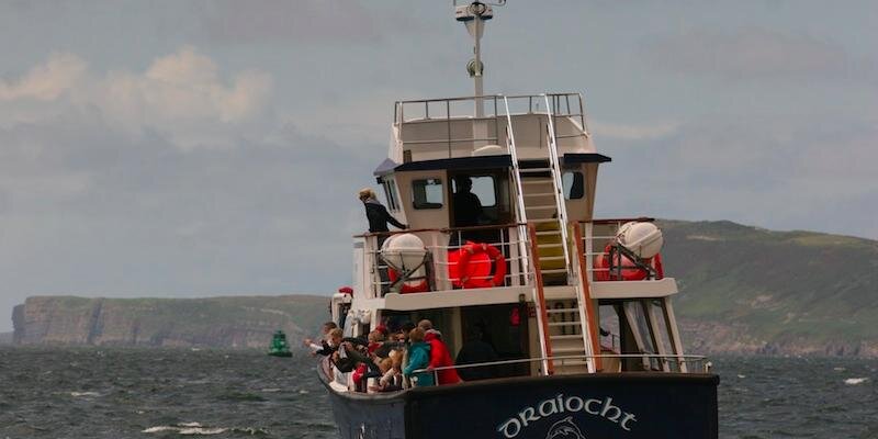 DolphinwatchC's profile banner image