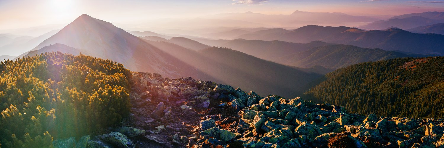 Cryptoptimist banner