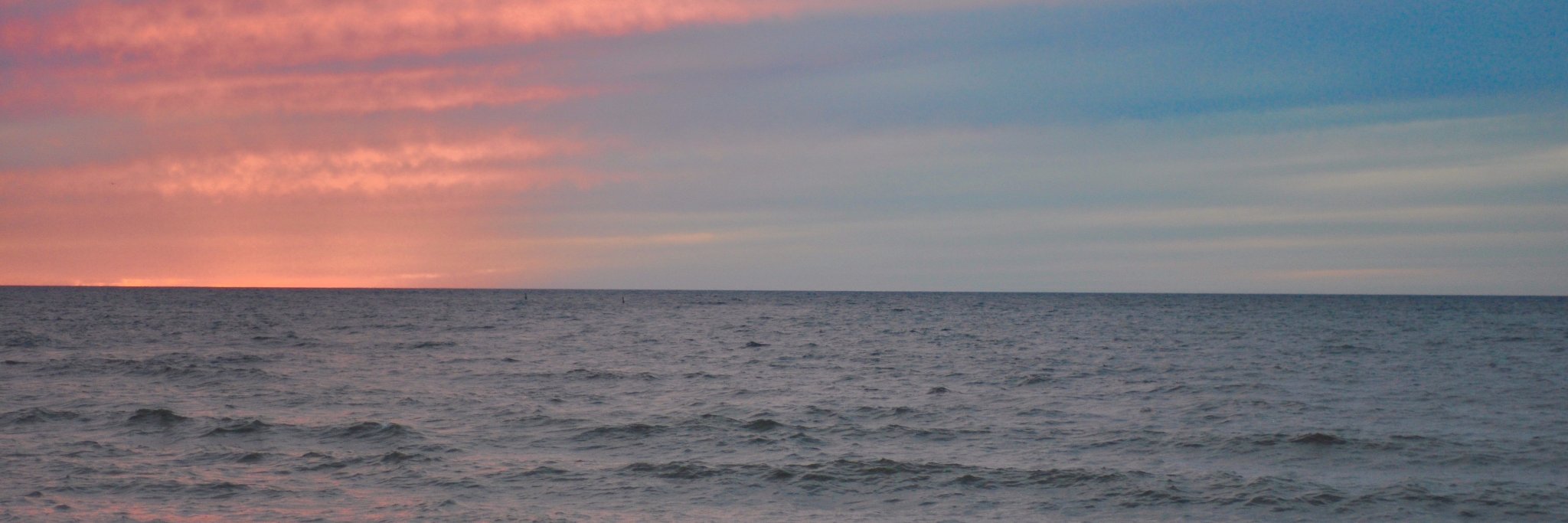 Todd Westcott banner