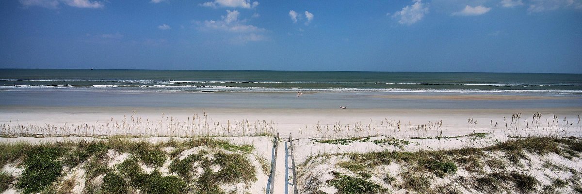 BillMillerStAug's profile banner image