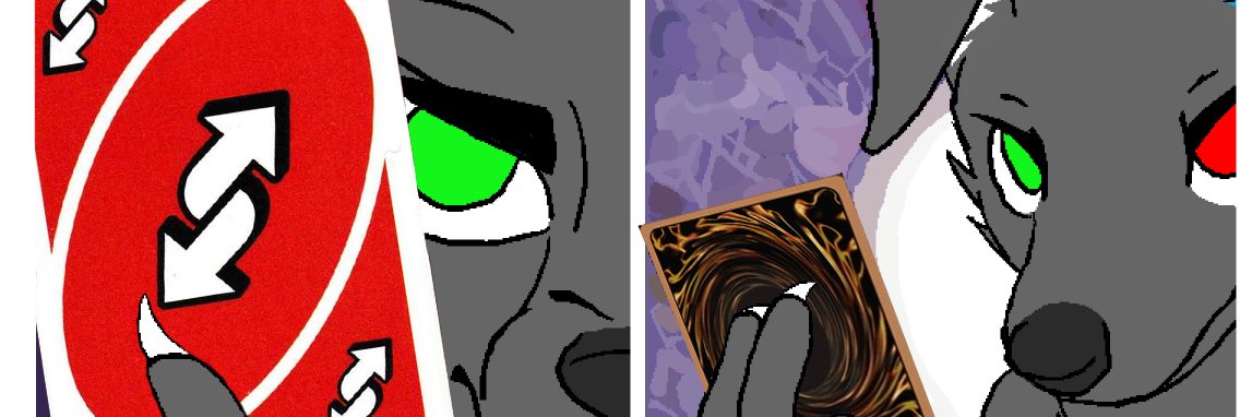 K9 banner