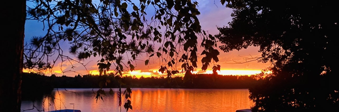 Alice in Wonderland banner