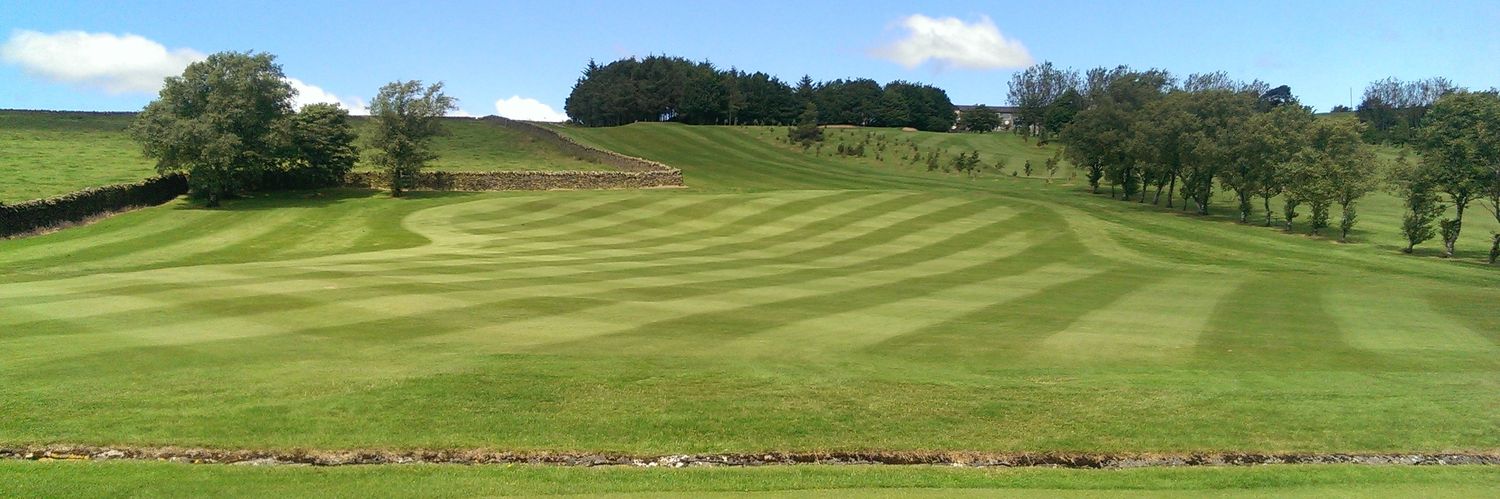 Marcus Tolmie banner