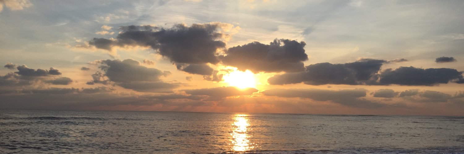 FranckEhlinger's profile banner image