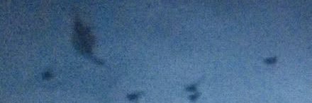 mentalpr1son's profile banner image