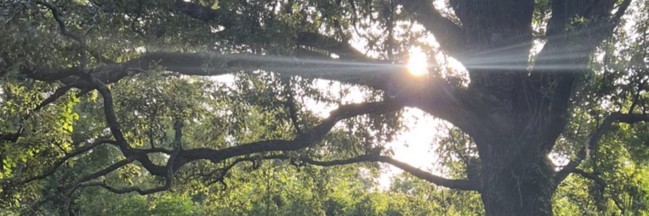 MsPrettySaddity's profile banner image