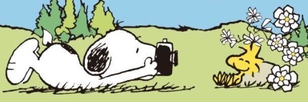 jailtomals's profile banner image