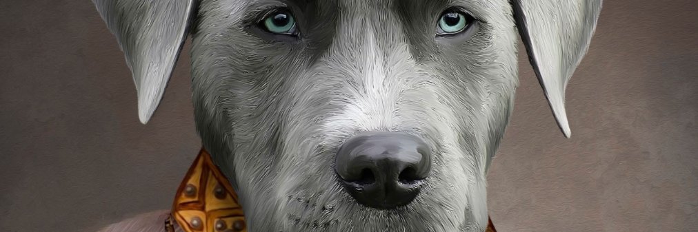 Raiza Santos De Góis banner